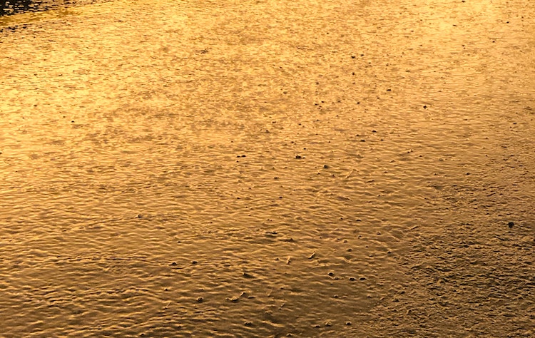 Flooding Bellevue